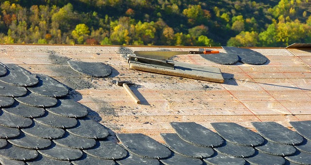 The Best Roofer's Credentials: What Montgomery County Homeowners Should Know