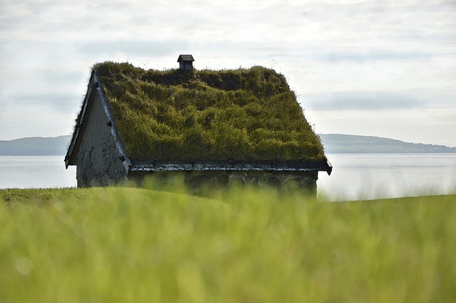 Green Roofing Solutions: Sustainable Options with Montgomery County's Best Roofer
