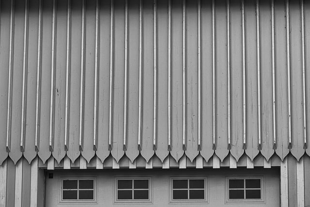 Roofing Maintenance 101: Tips from Montgomery County's Best Roofer